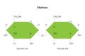 Maltose, also known as maltobiose or malt sugar.